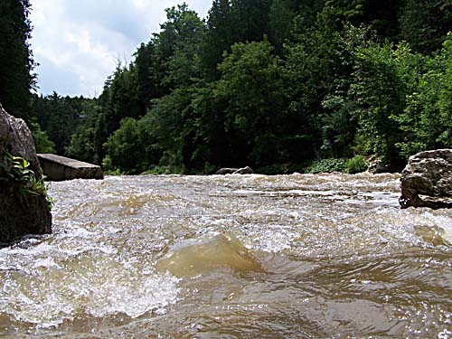 Fast flowing river in the Elora Gorge