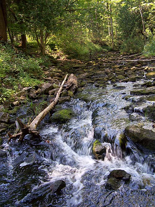 Hilton Falls Conservation Area,  Conservation Halton