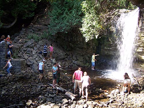 Hilton Falls Conservation Area,  Conservation Halton