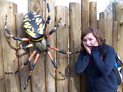 Toronto Zoo - Erin is scared by a big spider