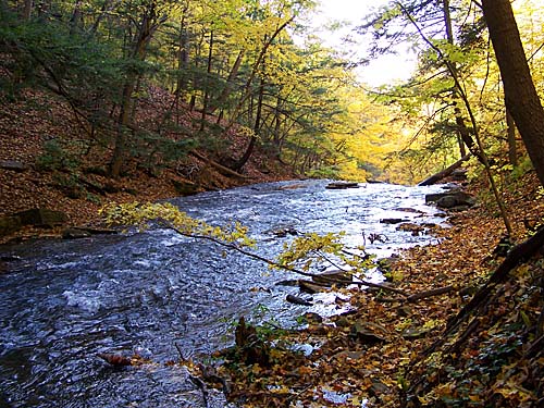 A creek flows towards another set of waterfalls along the Niagara Escarpment during Fall