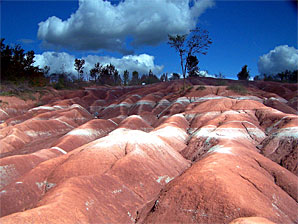 Cheltenham Badlands, Caledon, Ontario. Looking up.