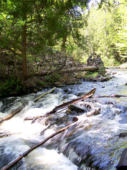 Hilton Falls Conservation Area waterfall, Ontario. Upstream of falls