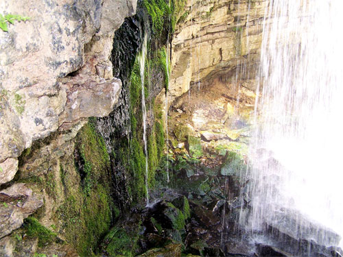 Hilton Falls Conservation Area waterfall, Ontario. Behind the waterfall