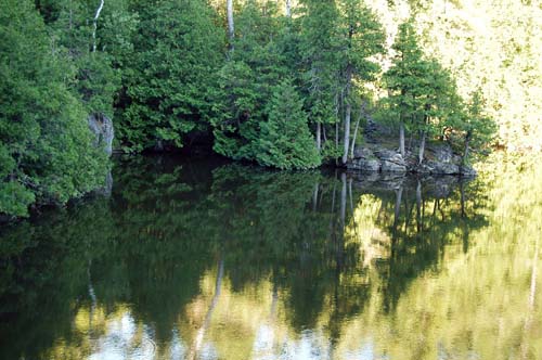 Rockwood Conservation Area GRCA -  the shores of the man made lake with some trees in shadow