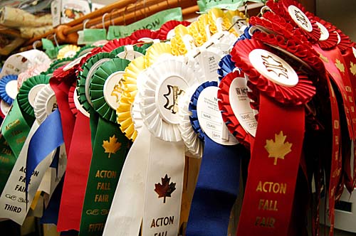 2008 Acton Fall Fair, Ontario - prize ribbons