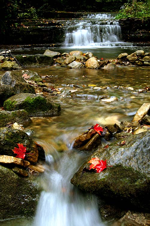 Silvercreek Falls, Halton Hills