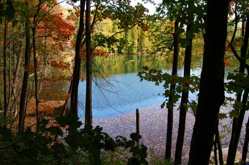 Frog pond in early fall, Acton