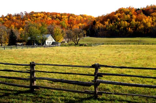 ranch and barn with hill full of fall colours in the trees