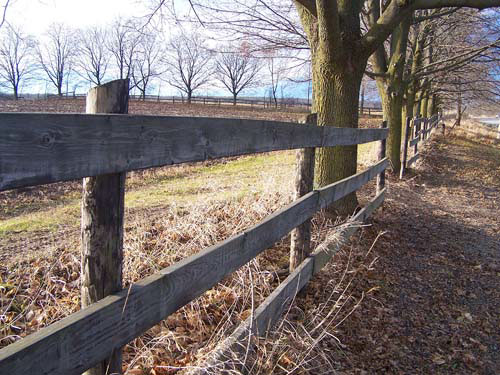 Farm fence in Halton Hills
