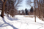 Just past the Maria Street bridge looking west towards Frederick St S and the start of the path loop