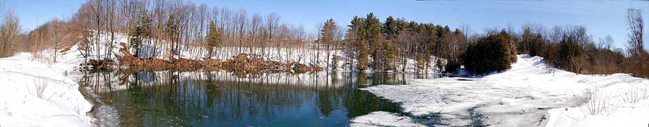 Frog Pond in Acton, Ontario