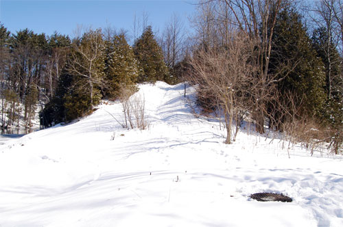 A side trail on the south side of Frog Pond
