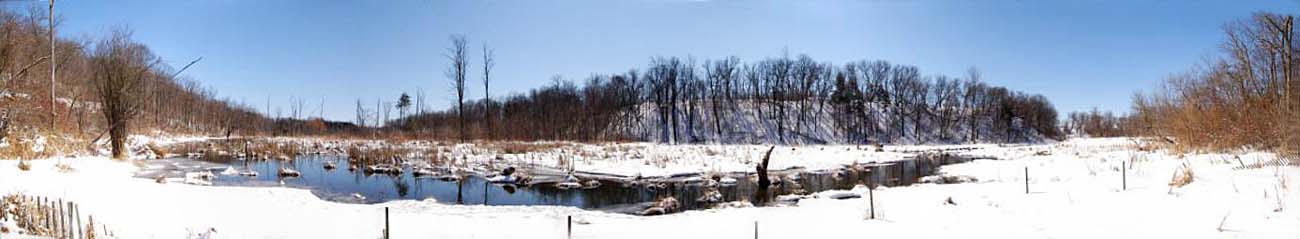 Black Creek marsh and creek