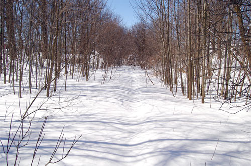 old grand trunk railway spur line route to the Beardmore Tannery Property