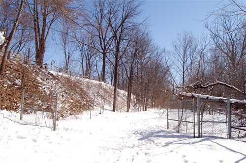 Pathway gate between Black Creek and Crescent St in Acton, Ontario