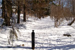 path from Elgin St to Frederick St in front of old Beardmore Tannery property in Acton, Ontario