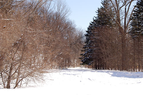 The start of the Black Creek Pathway in Acton, Ontario