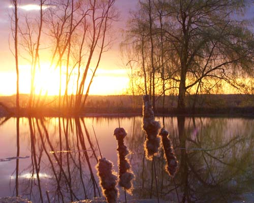 Sunrise on escapment pond along Highway 25, north of Milton.