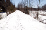 raised path south of Frog Pond along Black Creek