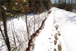 a steel retaining wall holds the pathway beside a small pond