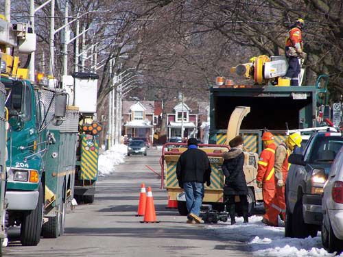 Toronto Hydro crews and equipment respond to a trouble call involving a tree across hydro wires and a house.