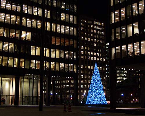 A large Christmas tree among office towers of downtown Toronto