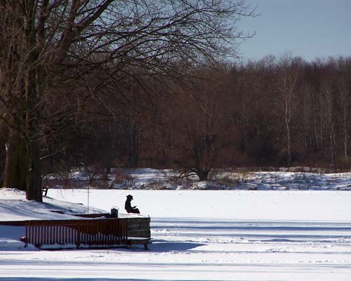 A fisherman cutout along the edges of Fairy Lake in Acton