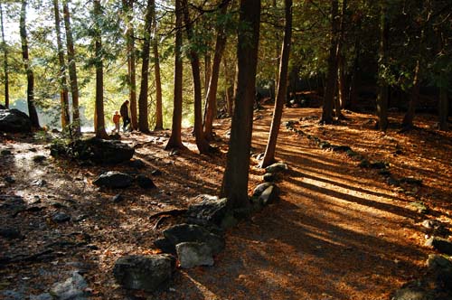 Rockwood Conservation Area - path through forest