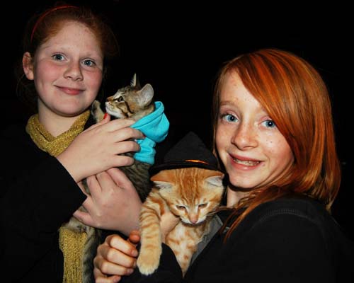 two kitties dressed up for halloween