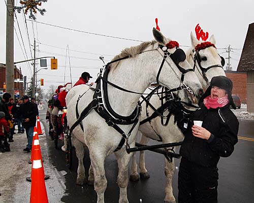 Santa's horse drawn wagon