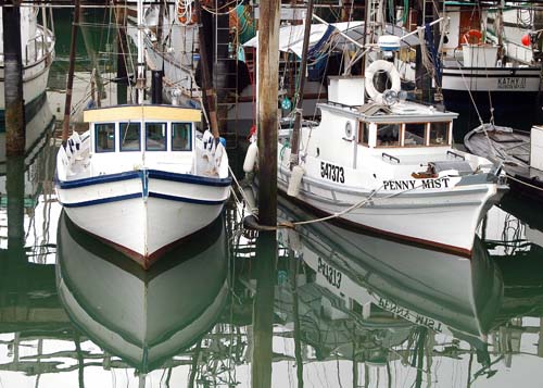 Fishing boats, San Francisco harbour, California, US