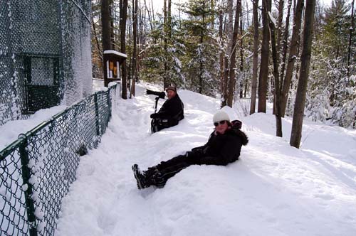 Muskoka Wildlife Centre - Joe and Erin at the cougar and bear pen